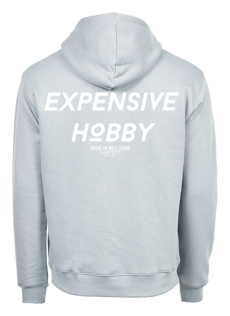 Fluomoto hoodie expensive hobby back ice blue